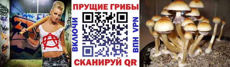 Галлюциногенные грибы ЛСД  как найти закладки  Очёр 